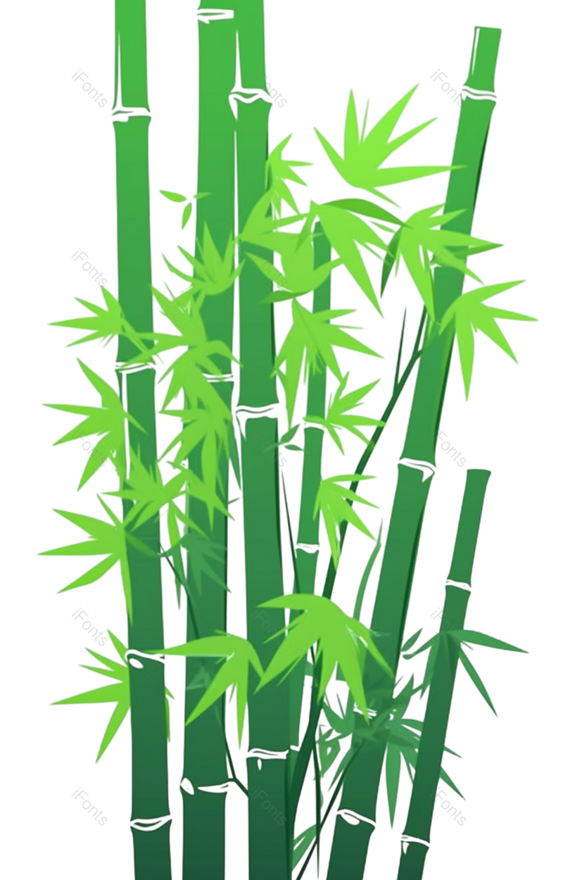 叶子图片,元素元素,插画PNG,竹子免抠素材